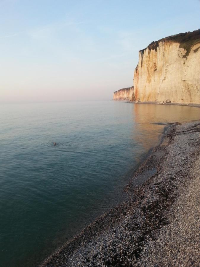 La Mare Aux Canards Sassetot-le-Mauconduit Εξωτερικό φωτογραφία